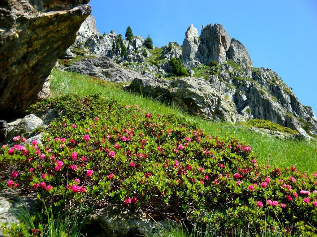 Auberge La Douce Montagne Allemont Exteriér fotografie