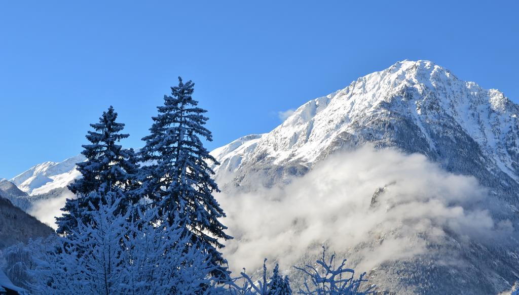 Auberge La Douce Montagne Allemont Exteriér fotografie